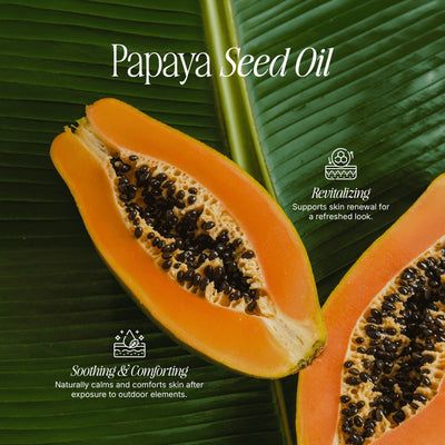 2 Pack Tallow Zinc Sun Stick Auro Skin