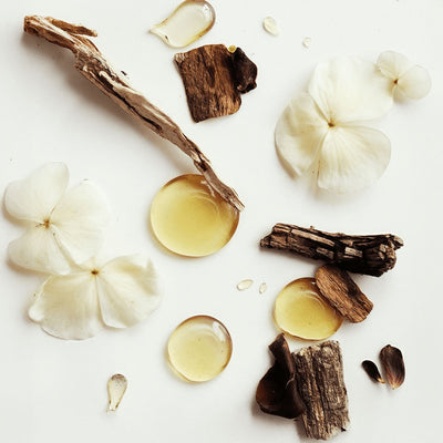 Whipped Tallow Balm with Vanilla Bean