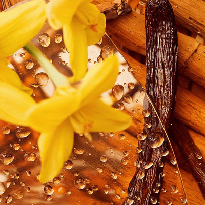 Whipped Tallow Balm with Vanilla Bean