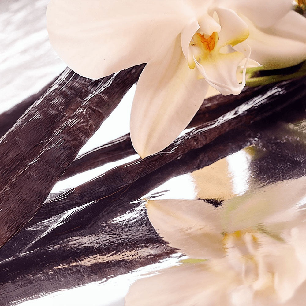 Whipped Tallow Balm with Vanilla Bean